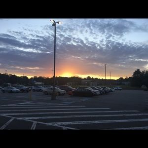 Meet your Posher, Ella